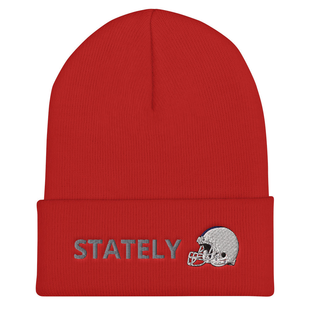 Stately Lion Helmet Cuffed Beanie