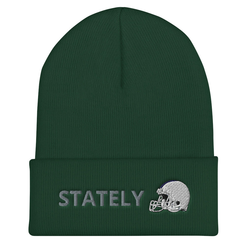 Stately Lion Helmet Cuffed Beanie